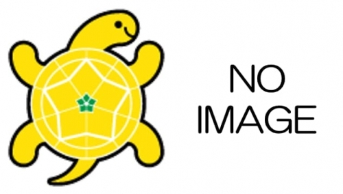 【川崎】ネットショッピング店舗の母の日花束の制作